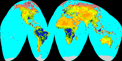world map gif