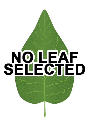 No Leaf Selected